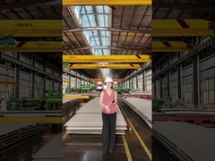 Welche Platte ist besser, Titan oder Edelstahl?