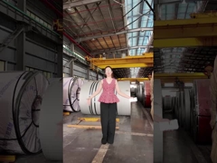 Kann man Edelstahl auf einer elektrischen Heizspirale verwenden?